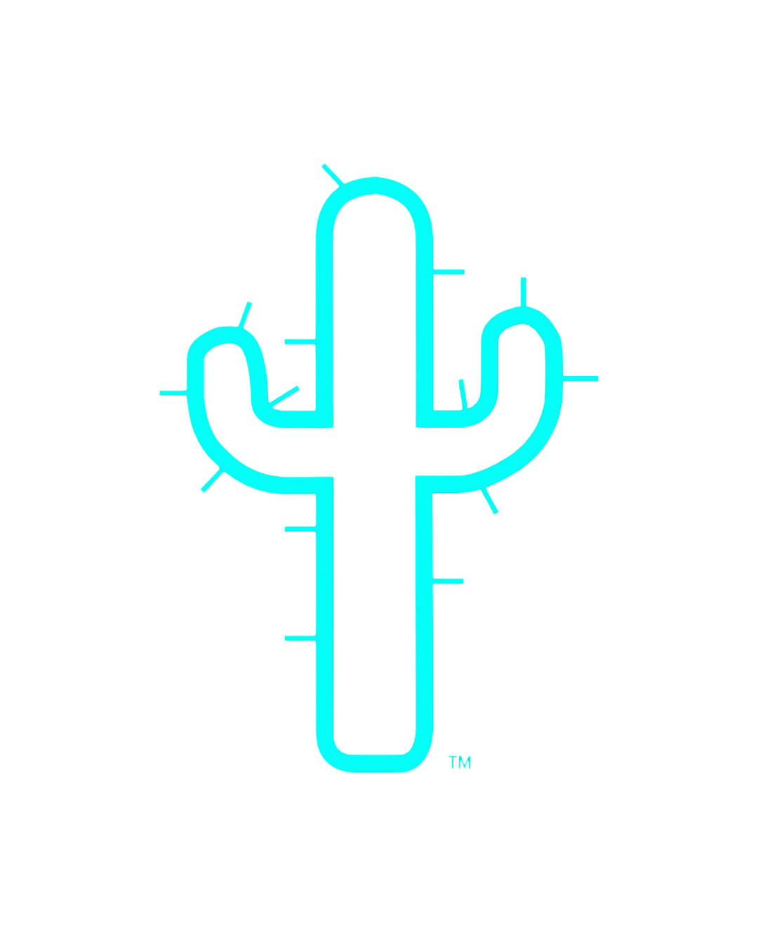 CYLTE cactus logo